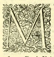 An illustration from Historia antica, e moderna: sacra, e profana, della città di Trieste ... : con la notitia di molt'arcani d'antichità ... e gesti d'huomini illustri ... sin'à ... 1698 (1698)