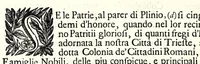 Picture 14 of 74 from Historia antica e moderna, sacra e profana, della città di Trieste, celebre colonia de'cittadini Romani : con la notitia di molt'arcani d'antichità, prerogative di nobiltà, e gesti d'huomini illustri, privilegi della città, e famiglie d'essa, varietà d'eruditioni, inscrittioni, sassi, mausolei, M.S. successi, mutationi de riti, e dominj, fin'à quest'anno 1698 (1698), leaf 136
