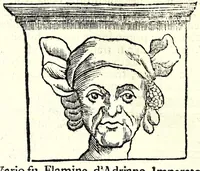 Picture 23 of 74 from Historia antica e moderna, sacra e profana, della città di Trieste, celebre colonia de'cittadini Romani : con la notitia di molt'arcani d'antichità, prerogative di nobiltà, e gesti d'huomini illustri, privilegi della città, e famiglie d'essa, varietà d'eruditioni, inscrittioni, sassi, mausolei, M.S. successi, mutationi de riti, e dominj, fin'à quest'anno 1698 (1698), leaf 236