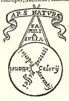 Picture 29 of 74 from Historia antica e moderna, sacra e profana, della città di Trieste, celebre colonia de'cittadini Romani : con la notitia di molt'arcani d'antichità, prerogative di nobiltà, e gesti d'huomini illustri, privilegi della città, e famiglie d'essa, varietà d'eruditioni, inscrittioni, sassi, mausolei, M.S. successi, mutationi de riti, e dominj, fin'à quest'anno 1698 (1698), leaf 334