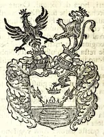 Picture 54 of 74 from Historia antica e moderna, sacra e profana, della città di Trieste, celebre colonia de'cittadini Romani : con la notitia di molt'arcani d'antichità, prerogative di nobiltà, e gesti d'huomini illustri, privilegi della città, e famiglie d'essa, varietà d'eruditioni, inscrittioni, sassi, mausolei, M.S. successi, mutationi de riti, e dominj, fin'à quest'anno 1698 (1698), leaf 710