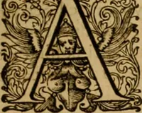 An illustration from Historia Byzantina duplici commentario illustrata : prior, Familias ac stemmata imperatorum constantinopolianorum, cum eorundem augustorum nomismatibus, & aliquot iconibus : praeterea familias dalmaticas & turcicas complecticur : alter, Descriptionem urbis constantinopolitanae, qualis extitit sub imperatoribus christianis (1680)