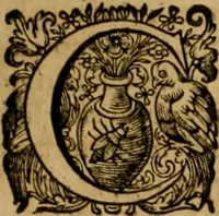 An illustration from Historia Byzantina duplici commentario illustrata : prior, Familias ac stemmata imperatorum constantinopolianorum, cum eorundem augustorum nomismatibus, & aliquot iconibus : praeterea familias dalmaticas & turcicas complecticur : alter, Descriptionem urbis constantinopolitanae, qualis extitit sub imperatoribus christianis (1680)