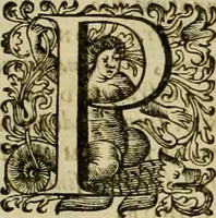 An illustration from Historia Byzantina duplici commentario illustrata : prior, Familias ac stemmata imperatorum constantinopolianorum, cum eorundem augustorum nomismatibus, & aliquot iconibus : praeterea familias dalmaticas & turcicas complecticur : alter, Descriptionem urbis constantinopolitanae, qualis extitit sub imperatoribus christianis (1680)