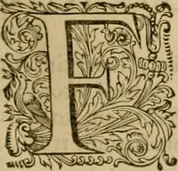 An illustration from Historia Byzantina duplici commentario illustrata : prior, Familias ac stemmata imperatorum constantinopolianorum, cum eorundem augustorum nomismatibus, & aliquot iconibus : praeterea familias dalmaticas & turcicas complecticur : alter, Descriptionem urbis constantinopolitanae, qualis extitit sub imperatoribus christianis (1680)