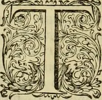An illustration from Historia Byzantina duplici commentario illustrata : prior, Familias ac stemmata imperatorum constantinopolianorum, cum eorundem augustorum nomismatibus, & aliquot iconibus : praeterea familias dalmaticas & turcicas complecticur : alter, Descriptionem urbis constantinopolitanae, qualis extitit sub imperatoribus christianis (1680)