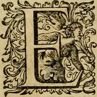 An illustration from Historia Byzantina duplici commentario illustrata : prior, Familias ac stemmata imperatorum constantinopolianorum, cum eorundem augustorum nomismatibus, & aliquot iconibus : praeterea familias dalmaticas & turcicas complecticur : alter, Descriptionem urbis constantinopolitanae, qualis extitit sub imperatoribus christianis (1680)