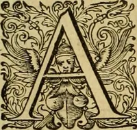 An illustration from Historia Byzantina duplici commentario illustrata : prior, Familias ac stemmata imperatorum constantinopolianorum, cum eorundem augustorum nomismatibus, & aliquot iconibus : praeterea familias dalmaticas & turcicas complecticur : alter, Descriptionem urbis constantinopolitanae, qualis extitit sub imperatoribus christianis (1680)