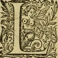 An illustration from Historia Byzantina duplici commentario illustrata : prior, Familias ac stemmata imperatorum constantinopolianorum, cum eorundem augustorum nomismatibus, & aliquot iconibus : praeterea familias dalmaticas & turcicas complecticur : alter, Descriptionem urbis constantinopolitanae, qualis extitit sub imperatoribus christianis (1680)