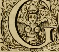 An illustration from Historia Byzantina duplici commentario illustrata : prior, Familias ac stemmata imperatorum constantinopolianorum, cum eorundem augustorum nomismatibus, & aliquot iconibus : praeterea familias dalmaticas & turcicas complecticur : alter, Descriptionem urbis constantinopolitanae, qualis extitit sub imperatoribus christianis (1680)
