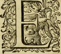 An illustration from Historia Byzantina duplici commentario illustrata : prior, Familias ac stemmata imperatorum constantinopolianorum, cum eorundem augustorum nomismatibus, & aliquot iconibus : praeterea familias dalmaticas & turcicas complecticur : alter, Descriptionem urbis constantinopolitanae, qualis extitit sub imperatoribus christianis (1680)