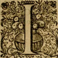 Picture 93 of 166 from Historia Byzantina duplici commentario illustrata : prior, Familias ac stemmata imperatorum constantinopolianorum, cum eorundem augustorum nomismatibus, & aliquot iconibus : praeterea familias dalmaticas & turcicas complecticur : alter, Descriptionem urbis constantinopolitanae, qualis extitit sub imperatoribus christianis (1680), leaf 216