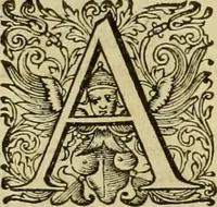 An illustration from Historia Byzantina duplici commentario illustrata : prior, Familias ac stemmata imperatorum constantinopolianorum, cum eorundem augustorum nomismatibus, & aliquot iconibus : praeterea familias dalmaticas & turcicas complecticur : alter, Descriptionem urbis constantinopolitanae, qualis extitit sub imperatoribus christianis (1680)