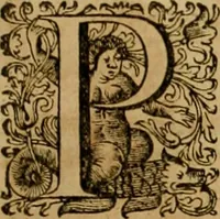 An illustration from Historia Byzantina duplici commentario illustrata : prior, Familias ac stemmata imperatorum constantinopolianorum, cum eorundem augustorum nomismatibus, & aliquot iconibus : praeterea familias dalmaticas & turcicas complecticur : alter, Descriptionem urbis constantinopolitanae, qualis extitit sub imperatoribus christianis (1680)
