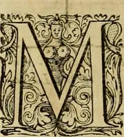 An illustration from Historia Byzantina duplici commentario illustrata : prior, Familias ac stemmata imperatorum constantinopolianorum, cum eorundem augustorum nomismatibus, & aliquot iconibus : praeterea familias dalmaticas & turcicas complecticur : alter, Descriptionem urbis constantinopolitanae, qualis extitit sub imperatoribus christianis (1680)