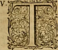 An illustration from Historia Byzantina duplici commentario illustrata : prior, Familias ac stemmata imperatorum constantinopolianorum, cum eorundem augustorum nomismatibus, & aliquot iconibus : praeterea familias dalmaticas & turcicas complecticur : alter, Descriptionem urbis constantinopolitanae, qualis extitit sub imperatoribus christianis (1680)