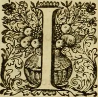 An illustration from Historia Byzantina duplici commentario illustrata : prior, Familias ac stemmata imperatorum constantinopolianorum, cum eorundem augustorum nomismatibus, & aliquot iconibus : praeterea familias dalmaticas & turcicas complecticur : alter, Descriptionem urbis constantinopolitanae, qualis extitit sub imperatoribus christianis (1680)