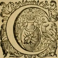 An illustration from Historia Byzantina duplici commentario illustrata : prior, Familias ac stemmata imperatorum constantinopolianorum, cum eorundem augustorum nomismatibus, & aliquot iconibus : praeterea familias dalmaticas & turcicas complecticur : alter, Descriptionem urbis constantinopolitanae, qualis extitit sub imperatoribus christianis (1680)