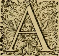An illustration from Historia Byzantina duplici commentario illustrata : prior, Familias ac stemmata imperatorum constantinopolianorum, cum eorundem augustorum nomismatibus, & aliquot iconibus : praeterea familias dalmaticas & turcicas complecticur : alter, Descriptionem urbis constantinopolitanae, qualis extitit sub imperatoribus christianis (1680)