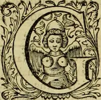 Picture 125 of 166 from Historia Byzantina duplici commentario illustrata : prior, Familias ac stemmata imperatorum constantinopolianorum, cum eorundem augustorum nomismatibus, & aliquot iconibus : praeterea familias dalmaticas & turcicas complecticur : alter, Descriptionem urbis constantinopolitanae, qualis extitit sub imperatoribus christianis (1680), leaf 343