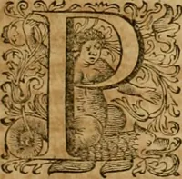 An illustration from Historia Byzantina duplici commentario illustrata : prior, Familias ac stemmata imperatorum constantinopolianorum, cum eorundem augustorum nomismatibus, & aliquot iconibus : praeterea familias dalmaticas & turcicas complecticur : alter, Descriptionem urbis constantinopolitanae, qualis extitit sub imperatoribus christianis (1680)