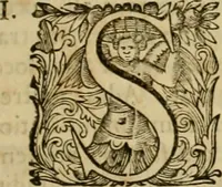 An illustration from Historia Byzantina duplici commentario illustrata : prior, Familias ac stemmata imperatorum constantinopolianorum, cum eorundem augustorum nomismatibus, & aliquot iconibus : praeterea familias dalmaticas & turcicas complecticur : alter, Descriptionem urbis constantinopolitanae, qualis extitit sub imperatoribus christianis (1680)