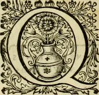 An illustration from Historia Byzantina duplici commentario illustrata : prior, Familias ac stemmata imperatorum constantinopolianorum, cum eorundem augustorum nomismatibus, & aliquot iconibus : praeterea familias dalmaticas & turcicas complecticur : alter, Descriptionem urbis constantinopolitanae, qualis extitit sub imperatoribus christianis (1680)