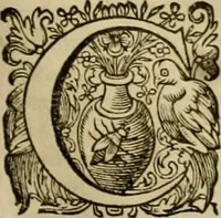 An illustration from Historia Byzantina duplici commentario illustrata : prior, Familias ac stemmata imperatorum constantinopolianorum, cum eorundem augustorum nomismatibus, & aliquot iconibus : praeterea familias dalmaticas & turcicas complecticur : alter, Descriptionem urbis constantinopolitanae, qualis extitit sub imperatoribus christianis (1680)
