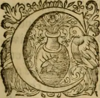 An illustration from Historia Byzantina duplici commentario illustrata : prior, Familias ac stemmata imperatorum constantinopolianorum, cum eorundem augustorum nomismatibus, & aliquot iconibus : praeterea familias dalmaticas & turcicas complecticur : alter, Descriptionem urbis constantinopolitanae, qualis extitit sub imperatoribus christianis (1680)