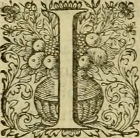 An illustration from Historia Byzantina duplici commentario illustrata : prior, Familias ac stemmata imperatorum constantinopolianorum, cum eorundem augustorum nomismatibus, & aliquot iconibus : praeterea familias dalmaticas & turcicas complecticur : alter, Descriptionem urbis constantinopolitanae, qualis extitit sub imperatoribus christianis (1680)
