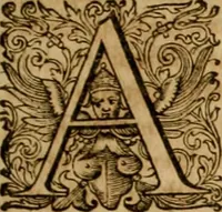 An illustration from Historia Byzantina duplici commentario illustrata : prior, Familias ac stemmata imperatorum constantinopolianorum, cum eorundem augustorum nomismatibus, & aliquot iconibus : praeterea familias dalmaticas & turcicas complecticur : alter, Descriptionem urbis constantinopolitanae, qualis extitit sub imperatoribus christianis (1680)