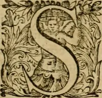 An illustration from Historia Byzantina duplici commentario illustrata : prior, Familias ac stemmata imperatorum constantinopolianorum, cum eorundem augustorum nomismatibus, & aliquot iconibus : praeterea familias dalmaticas & turcicas complecticur : alter, Descriptionem urbis constantinopolitanae, qualis extitit sub imperatoribus christianis (1680)