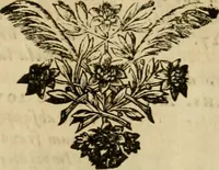 An illustration from Historia Byzantina duplici commentario illustrata : prior, Familias ac stemmata imperatorum constantinopolianorum, cum eorundem augustorum nomismatibus, & aliquot iconibus : praeterea familias dalmaticas & turcicas complecticur : alter, Descriptionem urbis constantinopolitanae, qualis extitit sub imperatoribus christianis (1680)