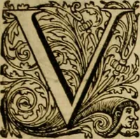 An illustration from Historia Byzantina duplici commentario illustrata : prior, Familias ac stemmata imperatorum constantinopolianorum, cum eorundem augustorum nomismatibus, & aliquot iconibus : praeterea familias dalmaticas & turcicas complecticur : alter, Descriptionem urbis constantinopolitanae, qualis extitit sub imperatoribus christianis (1680)