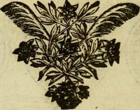 An illustration from Historia Byzantina duplici commentario illustrata : prior, Familias ac stemmata imperatorum constantinopolianorum, cum eorundem augustorum nomismatibus, & aliquot iconibus : praeterea familias dalmaticas & turcicas complecticur : alter, Descriptionem urbis constantinopolitanae, qualis extitit sub imperatoribus christianis (1680)