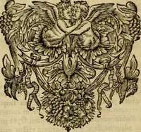 An illustration from Historia Byzantina duplici commentario illustrata : prior, Familias ac stemmata imperatorum constantinopolianorum, cum eorundem augustorum nomismatibus, & aliquot iconibus : praeterea familias dalmaticas & turcicas complecticur : alter, Descriptionem urbis constantinopolitanae, qualis extitit sub imperatoribus christianis (1680)