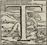 An illustration from Historia degli imperatori Greci descritta da Niceta Acominato da Chone ... in XIX. libri ; li quali seguono, lascia il Zonara, dal M.CXVII. fino al M.CCIII. nel qual tempo si uede la declinatione del Imperio : questi sono aggiunti Gli annali degli Imperatori di Constantinopoli, con l' Historia delle parti dell' Oriente scritta da Haithone ... tradotti in lingua Italiana da M. Ioseppe Horologgi (1562)