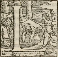 An illustration from Historia degli imperatori Greci descritta da Niceta Acominato da Chone ... in XIX. libri ; li quali seguono, lascia il Zonara, dal M.CXVII. fino al M.CCIII. nel qual tempo si uede la declinatione del Imperio : questi sono aggiunti Gli annali degli Imperatori di Constantinopoli, con l' Historia delle parti dell' Oriente scritta da Haithone ... tradotti in lingua Italiana da M. Ioseppe Horologgi (1562)