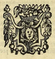An illustration from Histoire du Peru, partie principale des Antipodes, ou Nouueau Monde. et du grand progrez de la foy chrestienne, en la conuersion de ces peuples gentils ... (1653)