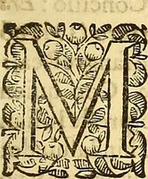 Picture 3 of 14 from Historia de la imperial, nobilissima, inclita, y esclarecida ciudad de Toledo (1654), leaf 306
