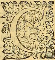 An illustration from Historia de la imperial, nobilissima, inclita, y esclarecida ciudad de Toledo (1654)