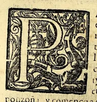 An illustration from Historia de las missiones que han hecho los religiosos de la Compañia de Iesus, para predicar el Sancto Euangelio en la India oriental, y en los reynos de la China y Iapon. (1601)