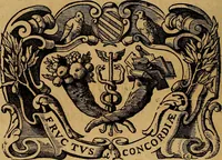 An illustration from Historia de la vida y hechos del emperador Carlos V. maximo : fortissimo, rey catholico de España, y de las Indias, islas, y tierra firme del mar oceano, &c (1681)
