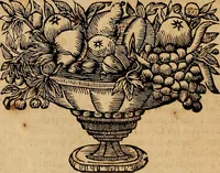 An illustration from Historia de la vida y hechos del emperador Carlos V. maximo : fortissimo, rey catholico de España, y de las Indias, islas, y tierra firme del mar oceano, &c (1681)