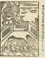 Picture 2 of 3 from Historia del celebre santuario de Nuestra Señora de Copacabana, y sus milagros, è inuencion de la Cruz de Carabuco. : A don Alonso Bravo de Sarabia y Sotomayor, del abito de Santiago, del consejo de Su Magestad, consultor del Santo Oficio, y oydor de Mexico. (1621), leaf 325
