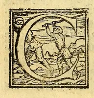 Picture 6 of 16 from Historia del illustriss. et ualorosiss. capitano don Ferdinando Cortes marchese della ualle, et quando discoperse, et acquisto la Nuoua Hispagna. (1556), leaf 124