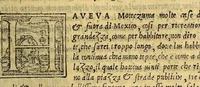 An illustration from Historia del illustriss. et ualorosiss. capitano don Ferdinando Cortes marchese della ualle, et quando discoperse, et acquisto la Nuoua Hispagna. (1556)