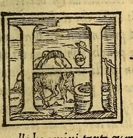 Picture 9 of 16 from Historia del illustriss. et ualorosiss. capitano don Ferdinando Cortes marchese della ualle, et quando discoperse, et acquisto la Nuoua Hispagna. (1556), leaf 243