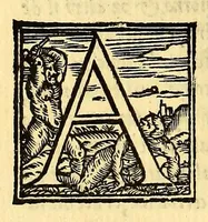 Picture 15 of 16 from Historia del illustriss. et ualorosiss. capitano don Ferdinando Cortes marchese della ualle, et quando discoperse, et acquisto la Nuoua Hispagna. (1556), leaf 448