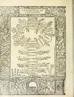 An illustration from Historia della città e regno di Napoli (1675)